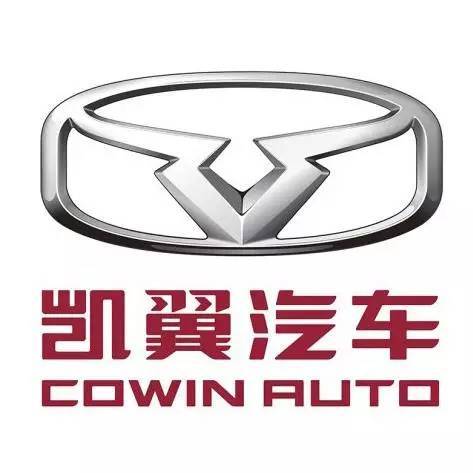 开埃尔法很低调吗(埃尔法开门里面怎么开)